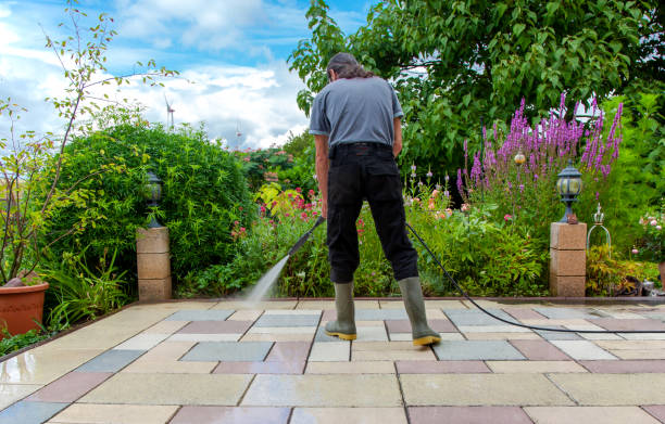 Best Patio and Deck Pressure Washing  in Andusia, AL